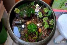 水缸养鱼水体浑浊爆藻了怎么办？3 个低成本妙招，2 天恢复清澈！