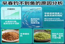 早春回暖钓不到鱼？别怨鱼不开口！这几个深层原因，新手必看