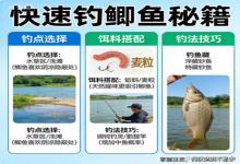 想快速钓鲫鱼？老钓友私藏秘籍，新手也能爆护，爽到飞起！