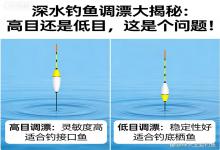 深水调漂大揭秘：高目还是低目？选对不空军，新手也能精准抓口