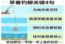 早春钓鲫别瞎忙！记住这4句话，告别空竿，跟旁边钓友一样连杆上鱼