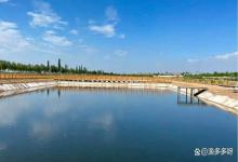 水库养花白鲢鱼怎样肥水？水库养花白鲢使用什么肥水性价比最高？