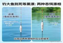 钓大鱼死等黑漂？90% 钓友错过这 2 种漂相，提竿就中巨物！