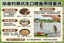 早春黑坑生口鲤，用饵别瞎配！抓准3个重点，连杆爆护不空军