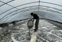 大雪封塘，如何保虾？越冬期虾塘如何管理？看完少走弯路