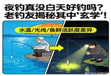 夜钓真比白天差？老钓友拆穿“玄学”真相，原来问题出在这！