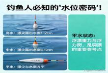 漂尖平水到底咋判断？钓鱼人必看的“水位密码”，学会再也不跑鱼