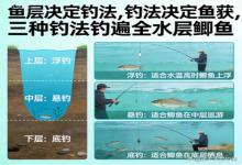 鱼层找不对，钓鲫全白费！三种钓法覆盖上中下，新手也能连竿爆护