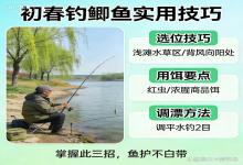 初春钓鲫鱼越来越难？老钓友说实话：这几招不⽤，⿂护真⽩带了