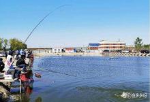 黑坑钓场怎么让底部环境更好？黑坑的塘底怎么打造最好底质？速看