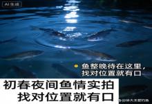 初春夜钓实拍！鱼整晚藏在这3个位置，找对了下竿就有口