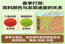 春季打窝踩大雷！只盯味型不看颜色，发窝慢半拍，空竿到天黑