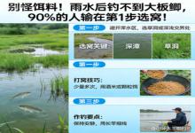 雨水后钓不到大板鲫？别怨饵料！90%的人，第一步选窝就错了
