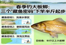 春季钓大板鲫稳了！3个藏鱼密码，下竿就是半斤起步，新手也能连杆