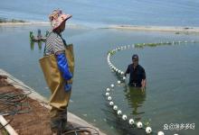 池塘水清澈见底如何肥水？池塘冬季肥水到底用什么？肥水诀窍看这