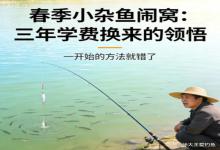春季小杂鱼闹窝？我交了3年学费才懂，原来从一开始就错了！