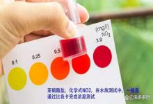 鱼缸亚硝酸盐超标打氧有用吗？鱼缸亚硝酸盐高了怎么处理？