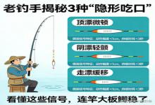 老钓手揭秘 3 种 “隐形吃口”！看懂微弱信号，大板鲫连竿不跑鱼