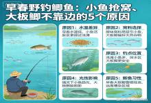 早春野钓鲫鱼：小鱼疯抢窝，大板鲫不靠边？5个深层原因，新手必看