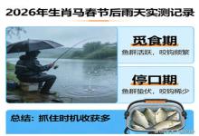 春节后雨天钓鲫实测！一个觅食期一个停口期，抓对时机收获翻倍