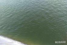 鱼塘底发黑发臭怎么回事？鱼塘水底发黑是什原因？根源竟是它