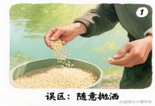 开春打窝别只会扔米！细节差一点，效果差十条街