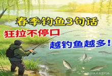春季钓鱼狂拉秘诀！3句话记牢，越钓越多，新手也能连杆不空军
