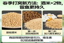春季打窝别再只用酒米！加这2样，留鱼一整天，告别空竿