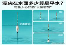 漂尖在水面多少算平水？钓鱼人必懂的“水位密码”，新手看完不踩坑