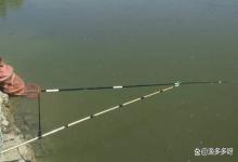 黑坑油膜多不干净怎么办？黑坑出现油膜怎么处理？答案全在这里