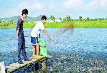水产养殖开春如何肥水？用复合肥磷肥吗？怎么做肥效持久？