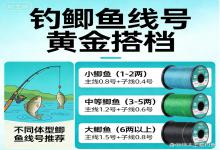 钓鲫鱼，几号线才是黄金搭档？别瞎选！选对不挡口、不跑鱼