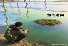 早春野钓别瞎守！高手都在找“鱼的老窝”，无声战场里藏着爆护密码