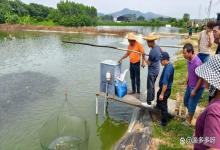 水产养殖开春三件套，你知道吗？掌握它让你避开养殖陷阱