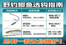 野钓鲫鱼愁选钩？袖钩伊豆溪流钩怎么选？老钓友教你不踩坑！