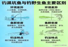 钓黑坑vs钓野鱼，4个核心区别，搞懂了不盲目，新手也能少交学费