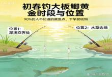 初春下午3点后，别瞎钓！2个隐藏钓位藏满大板鲫，90%的人找不到