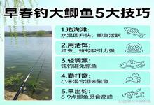 早春钓大鲫鱼｜老钓手实测5个核心技巧，避开误区，稳钓大板鲫（新手必看）