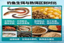 钓鱼别乱分生饵熟饵！搞懂这几点，用对了连杆爆护，新手不踩坑