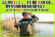 3 块钱野钓鲫鲤爆护！这个土法子，90% 钓友都嫌麻烦错过