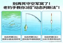 别死守空军窝！老钓手 3 招 “动态判断法”，换窝就上鱼不白等