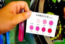 鱼缸亚盐高但是鱼状态正常怎么回事？想要处理，先明白其原理