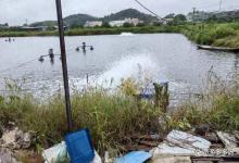 水产养殖冬季池塘水能肥起来吗？低温怎么才能把水肥起来？