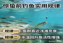 惊蛰前鱼难钓？水下实拍揭秘2个核心规律，实用又靠谱，新手也能爆护