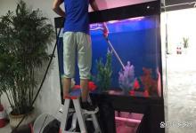 鱼缸水质不好可以连续换水吗？饲养观赏鱼为什么不建议大量换水？