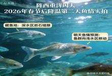 春节后降温水下实拍藏鱼地 明日鱼情预测，钓不到算我输