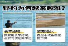野钓越钓越空？别骂资源差了，是我们用长竿把鱼喂得不敢靠边