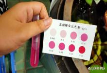 鱼缸里亚硝酸盐过高怎么办？如何有效降低鱼缸中的亚硝酸盐？