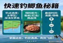 想快速钓到鲫鱼？4个实战秘籍，新手也能爆护，爽到飞起！