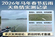 春节后雨天钓鲫实测！两种截然不同鱼情，抓对时机才不空军